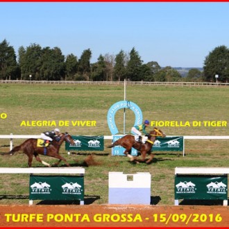Fiorella di Tiger (Tiger Heart) vence o GP Ciro Frare no festival de