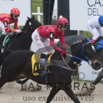 Furia Negra (Pioneering) conquista 8ª vitória no Uruguai e Bela Chiara (Pioneering) ganha a 2ª na Gávea