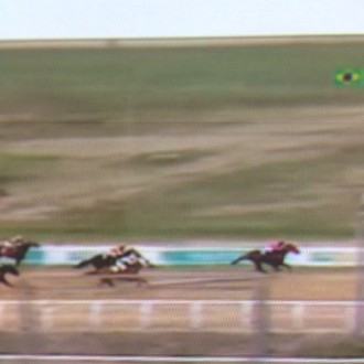 Gala Tango, crioulo de Paulo Fischer criado no Santarém ganha no Cristal