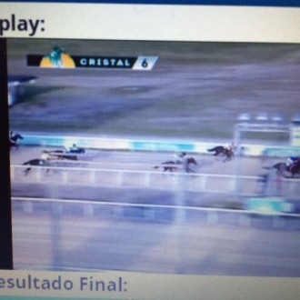 Of Mind e Daniel Son ambos filhos de Tiger Heart ganham no Cristal