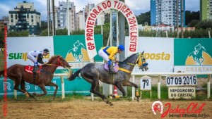 ovunque-gp-protetora-do-turfe