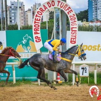 Ovunque do Haras Santarém fatura o GP Protetora do Turfe no Cristal