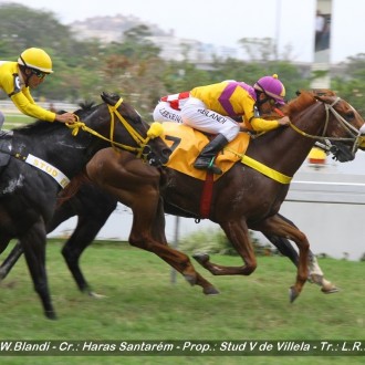 Pianella (Tiger Heart) do Santarém vence Pesos Especiais na Gávea