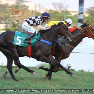 Reitor filho de Impression ganha a 2ª na Gávea