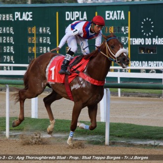 Bela Chiara e Reservado filhos de Pioneering ganham na Gávea na sexta feira