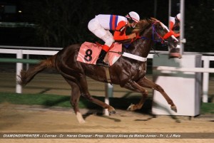 diamondsprinter-24-10