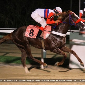 Diamonsprinter criado no Santarém ganha a 6ª carreira na Gávea, Hija de La Luna (Impression) fatura a primeira