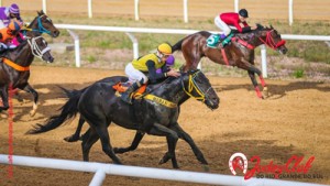 falastrao-20-10-classico