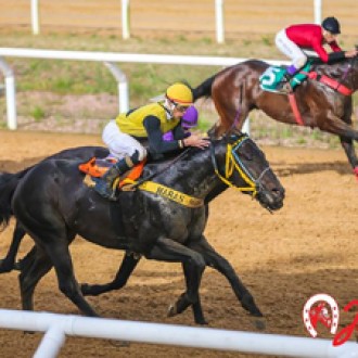 Falastrão (Pioneering) ganha Clássico no Cristal