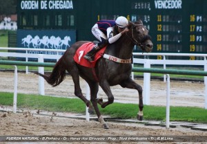 fuerza-natural-02-10