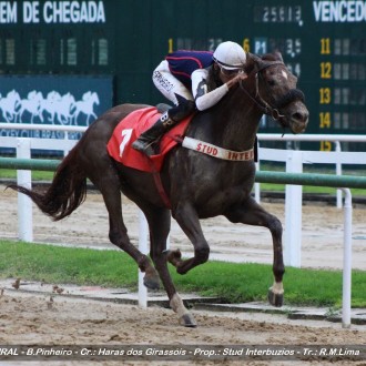 Fuerza Natural, Emperor Sony e Bela Chiara, todos filhos de Pioneering vencem na Gávea