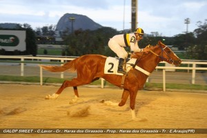 galop-sweet-09-10