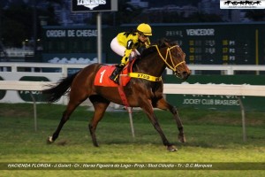 hacienda-florida-30-10