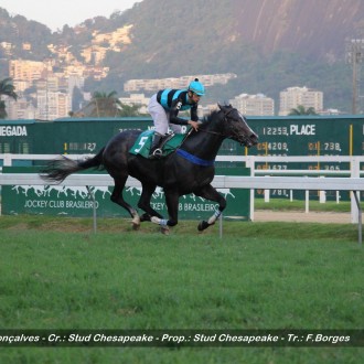 Kharkov (Impression) ganha na Gávea, Evoque (Pioneering) fatura a primeira