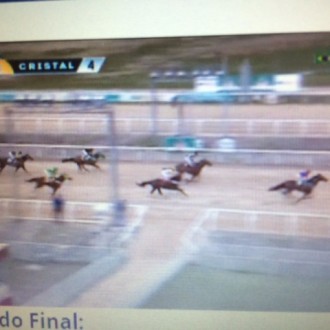 Of Mind (Tiger Heart) vence pela 4ª vez no Cristal