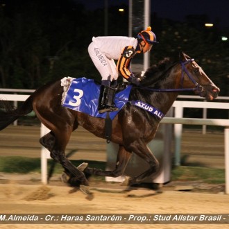 Old Midas (Pioneering) do Santarém fatura 5ª vitória, Galop  Sweet (Pioneering) ganha a primeira na estréia na Gávea