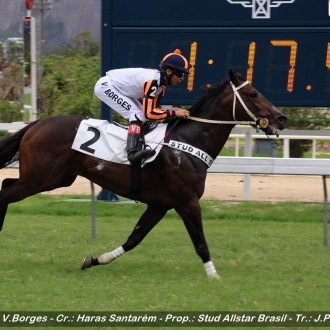 Old Midas (Pioneering) criação do Haras Santarém ganha a sexta carreira na Gávea