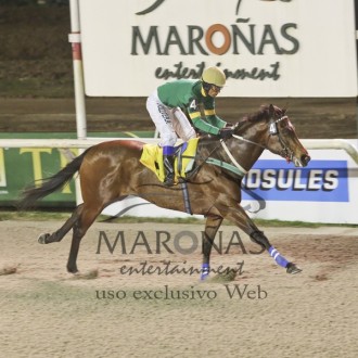 QINLING (Tiger Heart) do Santarém ganha em Maroñas