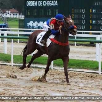 Quella Lá (Tiger Heart) do Santarém ganha fácil na Gávea, Sabrina Star (Tiger Heart) ganha a 4ª carreira