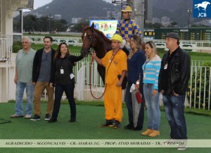 agredecido-13-11-foto