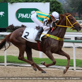 Reservado e Cheetah Hunt ambos por Pioneering faturam na Gávea