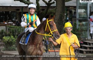 cheetah-hunt-06-11-joqueta