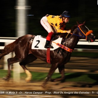 Diamondsprinter criado no Santarém para o Haras Campar fatura a 7ª vitória