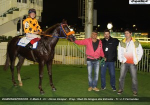 diamondsprinter-04-11-foto