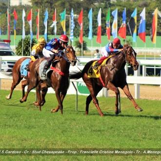 Filhas de Pioneering e Tiger Heart ganham na Gávea e Cidade Jardim