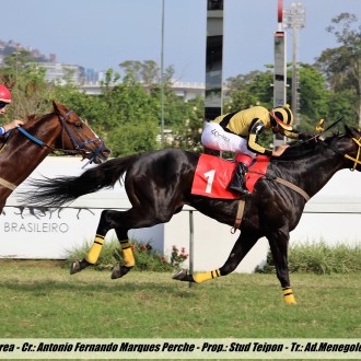 Buckbeak (criado no Santarém) e Emperor Cat ambos por Pioneering faturam na Gávea
