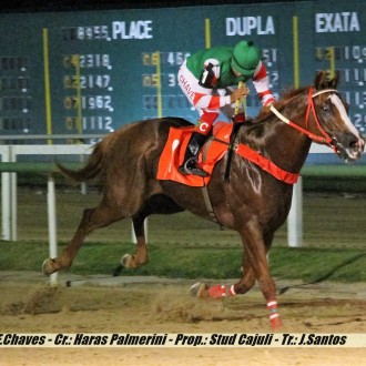 Grand Turk, filho de Tiger Heart ganha a terceira na Gávea.