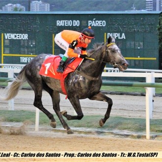 Just The King e Vester ambos por Tiger Heart ganham na Gávea e Cristal