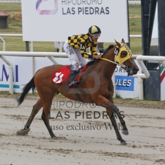 Tiger Heart – Queenship do Santarém estréia com vitória em Las Piedras e Sou Giovanna fatura a segunda na Gávea