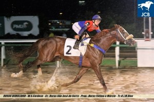 russo-demolidor-12-12