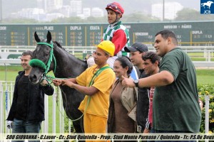 sou-giovanna-16-12-foto-da-vitoria