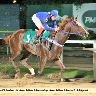 Pioneering – Verdi di Giuseppe criado no Santarém ganha a 2ª carreira na Gávea e Dragão ganha a primeira carreira aos aos 2 anos em CJ, Dash For Seller ganha na Gávea e Falastrão ganha no Cristal