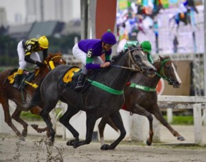 Aninha 21.01 GP 25 de janeiro