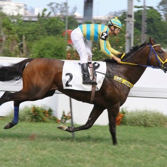 Datspeaker criado no Santarém para o Haras Campar vence Handicap na Gávea