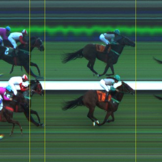 Delaforce (Tiger Heart) conquista a 3ª vitória em Cidade jardim