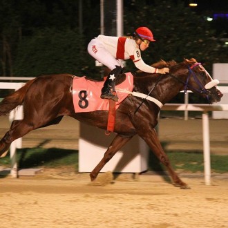 Diamondsprinter, criado no Hs Santarém,  vence a 8ª carreira na Gávea