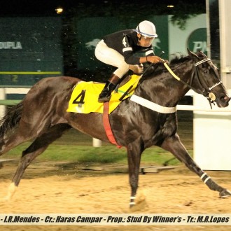 Doce Pimenta criada no Santarém para o Haras Campar ganha a 3ª na Gávea