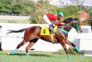 Dragão 14.01 chegada