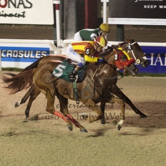 Fabian (Tiger Heart) vence Handicap em Maroñas