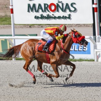 Fabian (Tiger Heart) vence Clássico em Maroñas e conquista sua 6ª vitória