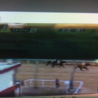 Glaura´s Gift (Tiger Heart) criada no Santarém para Paulo Fischer ganha no Cristal