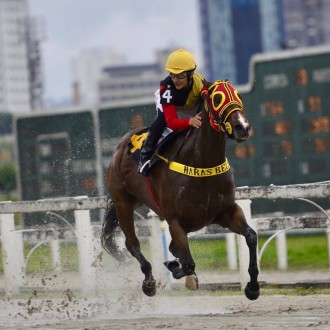 Holy Legal criado no Santarém para o Haras Belmont ganha em Cidade Jardim a Prova Especial Profissionais do Turfe