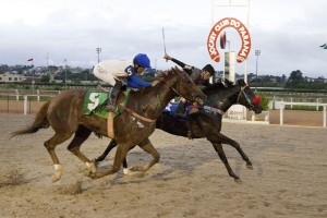 Jóia do Iguassu 03.01