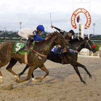 Penqueira Jóia do Iguassu (Tiger Heart) vence no Tarumã