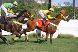 Morada-do-Sol-Chegada-29-01