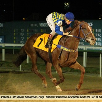 Piacere e Mezzo (Pioneering) do Santarém ganha a 3ª na Gávea e o clássico The Buteler (Pioneering) retorna vitoriosamente no Tarumã
